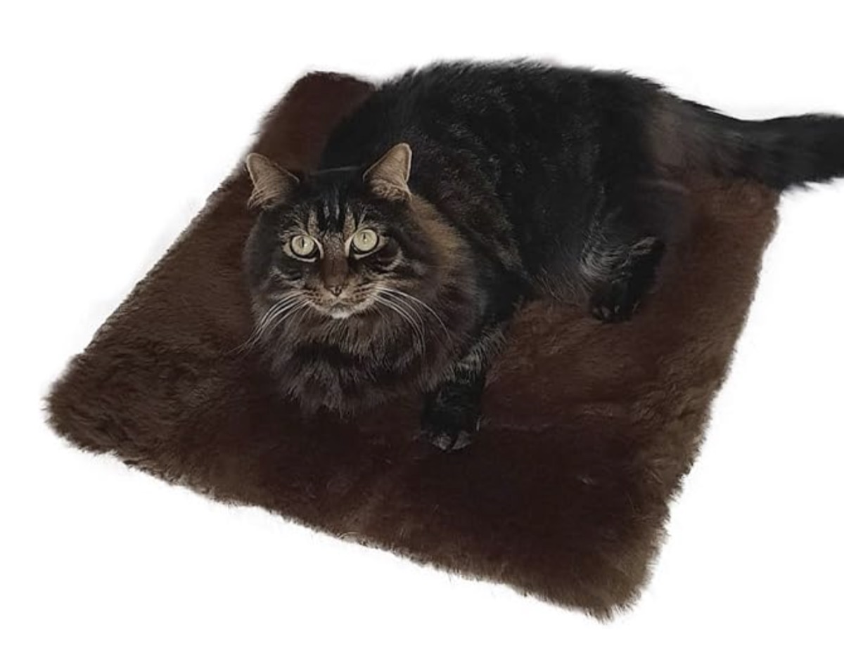 Katze liegt auf einem braunen Merino-Lammfell von Hollert